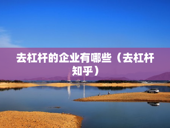 去杠杆的企业有哪些（去杠杆知乎）