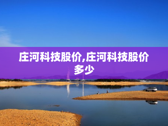 庄河科技股价,庄河科技股价多少