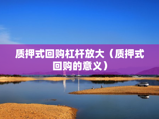 质押式回购杠杆放大（质押式回购的意义）