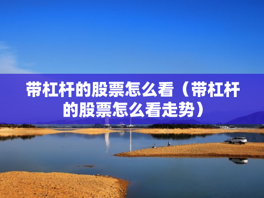 带杠杆的股票怎么看（带杠杆的股票怎么看走势）