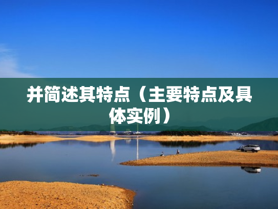 并简述其特点（主要特点及具体实例）