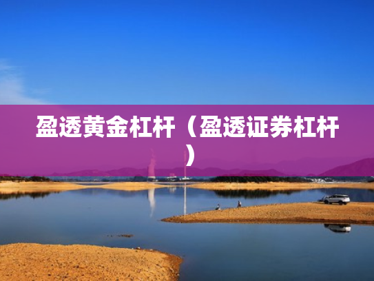 盈透黄金杠杆（盈透证券杠杆）