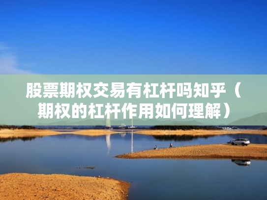 股票期权交易有杠杆吗知乎（期权的杠杆作用如何理解）