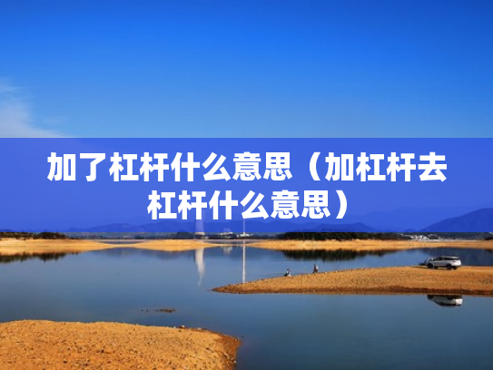 加了杠杆什么意思（加杠杆去杠杆什么意思）