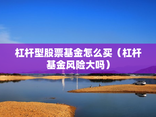 杠杆型股票基金怎么买（杠杆基金风险大吗）