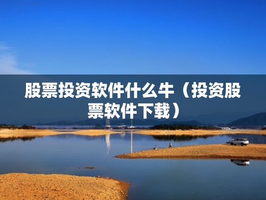 股票投资软件什么牛（投资股票软件下载）