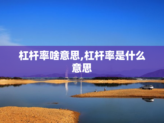杠杆率啥意思,杠杆率是什么意思