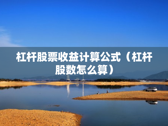 杠杆股票收益计算公式（杠杆股数怎么算）