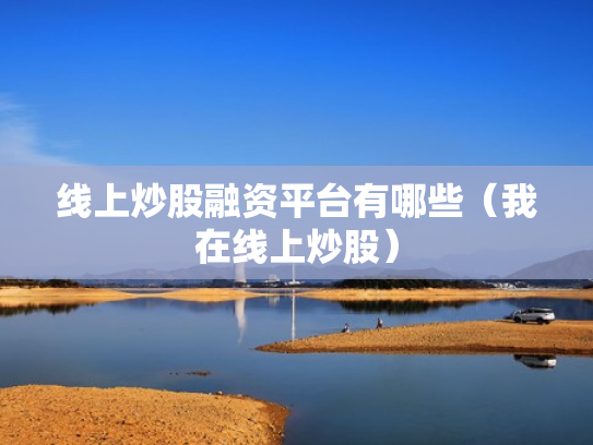 线上炒股融资平台有哪些（我在线上炒股）