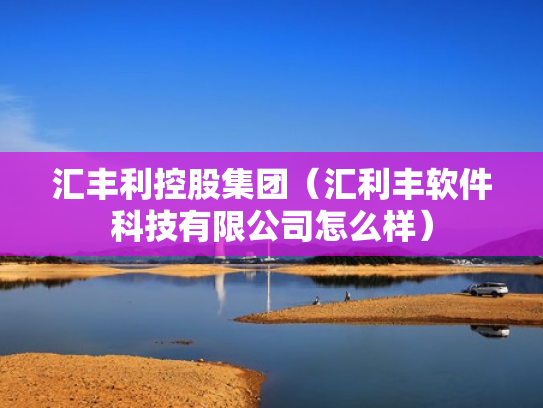 汇丰利控股集团（汇利丰软件科技有限公司怎么样）