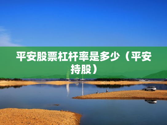 平安股票杠杆率是多少（平安持股）