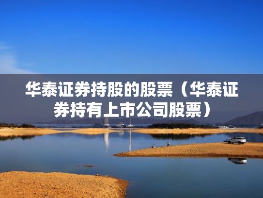 华泰证券持股的股票（华泰证券持有上市公司股票）