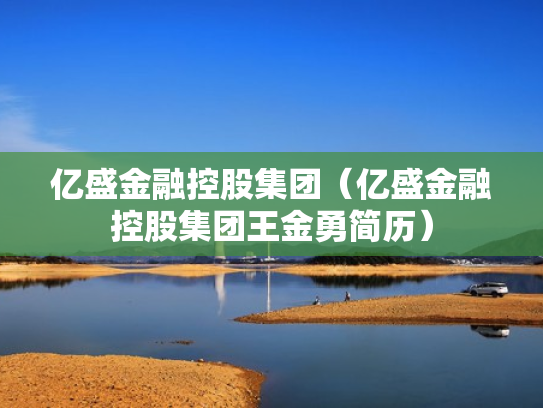 亿盛金融控股集团（亿盛金融控股集团王金勇简历）