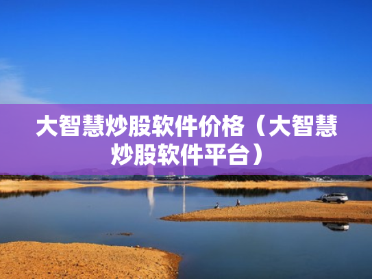 大智慧炒股软件价格（大智慧炒股软件平台）