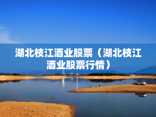 湖北枝江酒业股票（湖北枝江酒业股票行情）
