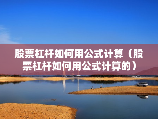股票杠杆如何用公式计算（股票杠杆如何用公式计算的）