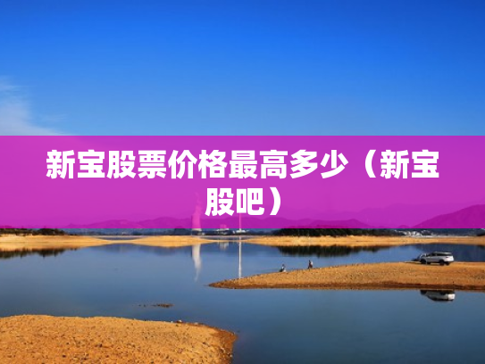 新宝股票价格最高多少（新宝股吧）
