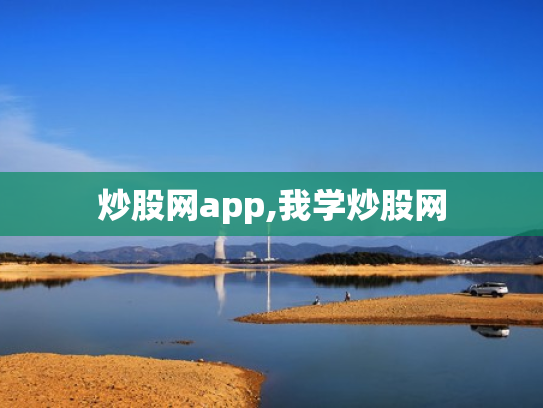 炒股网app,我学炒股网