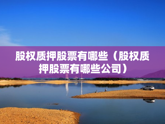 股权质押股票有哪些（股权质押股票有哪些公司）