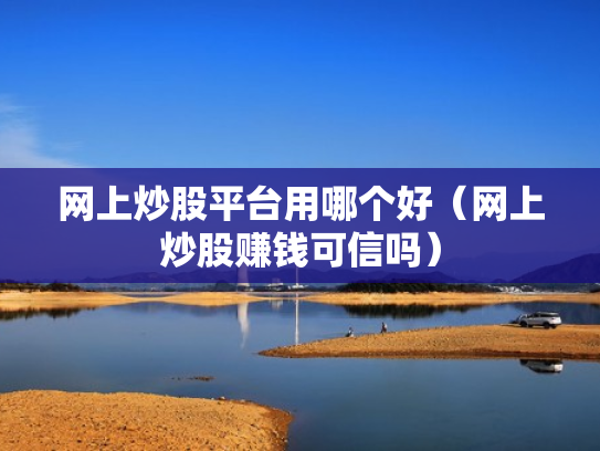 网上炒股平台用哪个好（网上炒股赚钱可信吗）