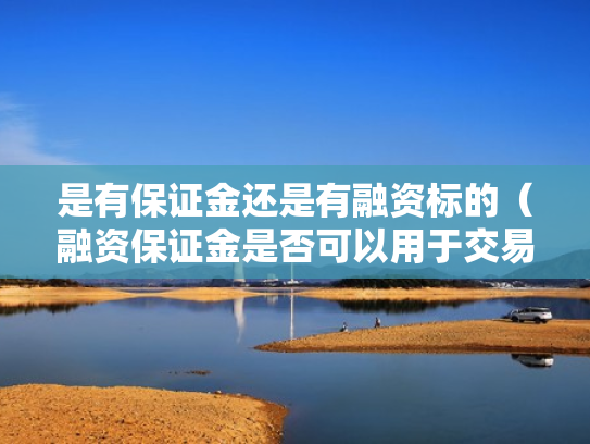 是有保证金还是有融资标的（融资保证金是否可以用于交易）