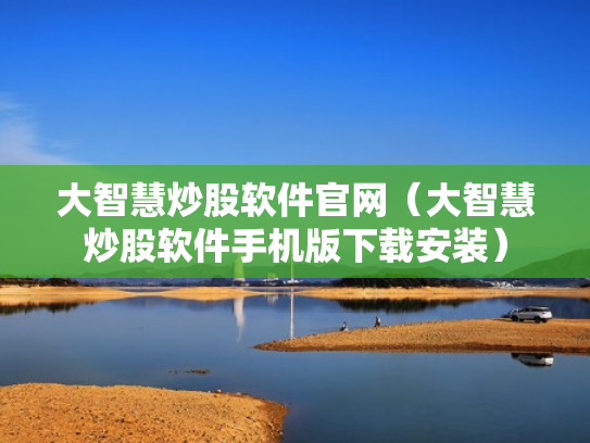 大智慧炒股软件官网（大智慧炒股软件手机版下载安装）