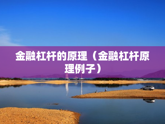 金融杠杆的原理（金融杠杆原理例子）