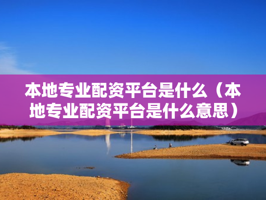 本地专业配资平台是什么（本地专业配资平台是什么意思）