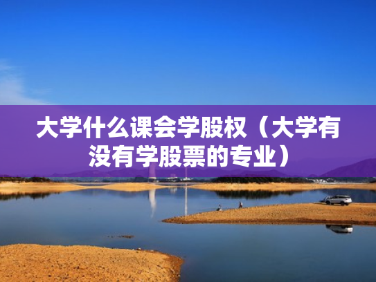 大学什么课会学股权（大学有没有学股票的专业）
