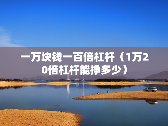 一万块钱一百倍杠杆（1万20倍杠杆能挣多少）