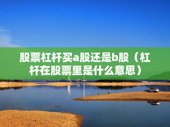 股票杠杆买a股还是b股（杠杆在股票里是什么意思）