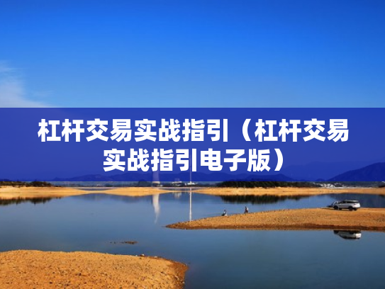杠杆交易实战指引（杠杆交易实战指引电子版）