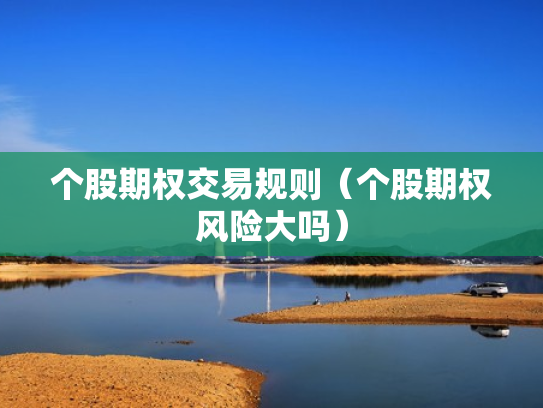 个股期权交易规则（个股期权风险大吗）