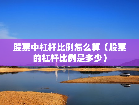 股票中杠杆比例怎么算（股票的杠杆比例是多少）