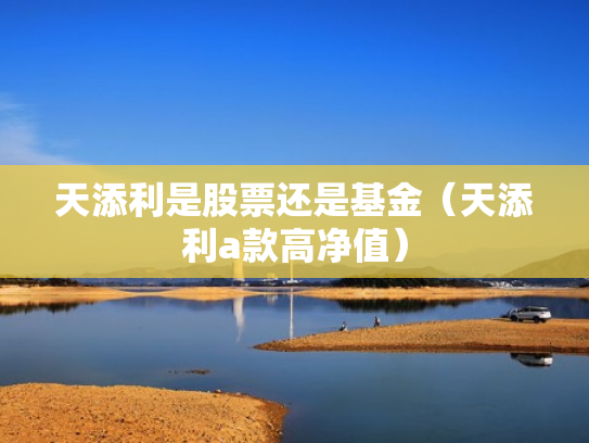 天添利是股票还是基金（天添利a款高净值）