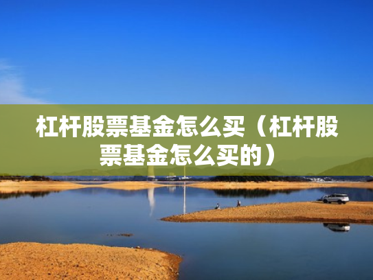 杠杆股票基金怎么买（杠杆股票基金怎么买的）
