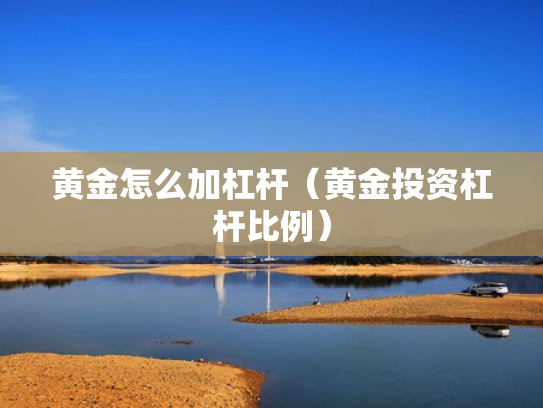 黄金怎么加杠杆（黄金投资杠杆比例）