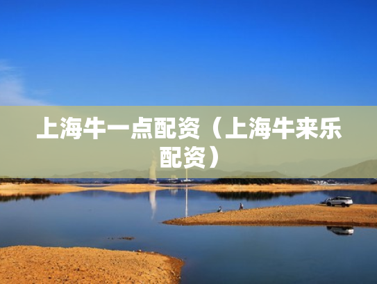上海牛一点配资（上海牛来乐配资）