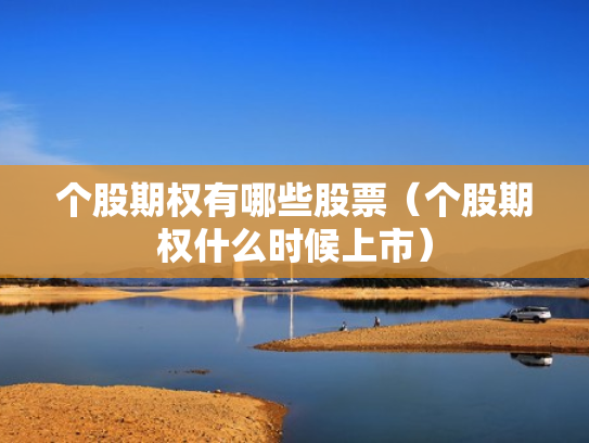 个股期权有哪些股票（个股期权什么时候上市）