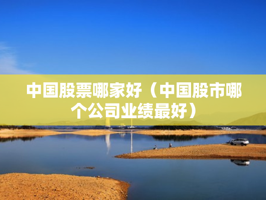 中国股票哪家好（中国股市哪个公司业绩最好）