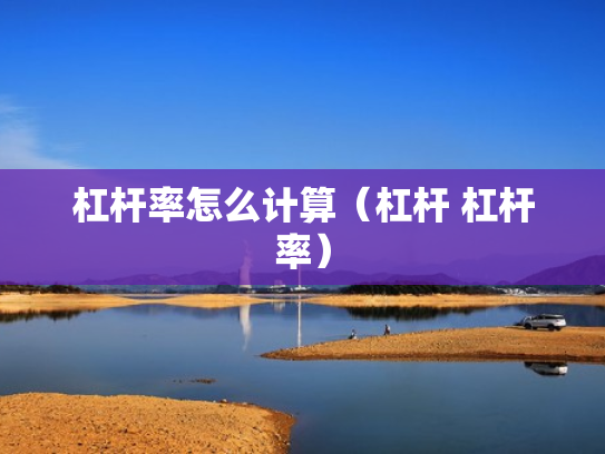 杠杆率怎么计算（杠杆 杠杆率）
