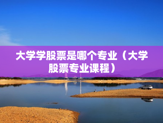 大学学股票是哪个专业（大学股票专业课程）