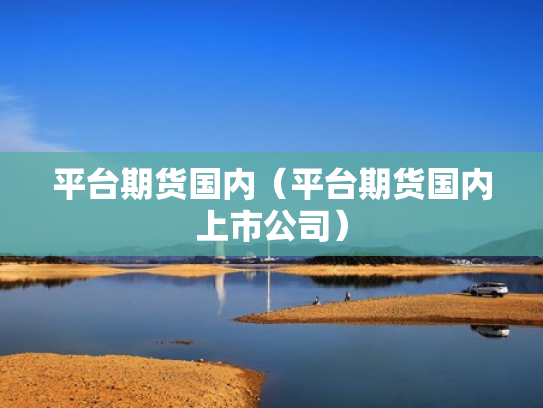 平台期货国内（平台期货国内上市公司）