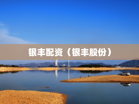 银丰配资（银丰股份）