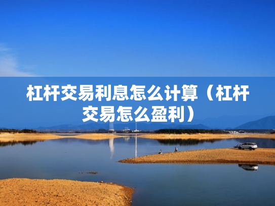 杠杆交易利息怎么计算（杠杆交易怎么盈利）