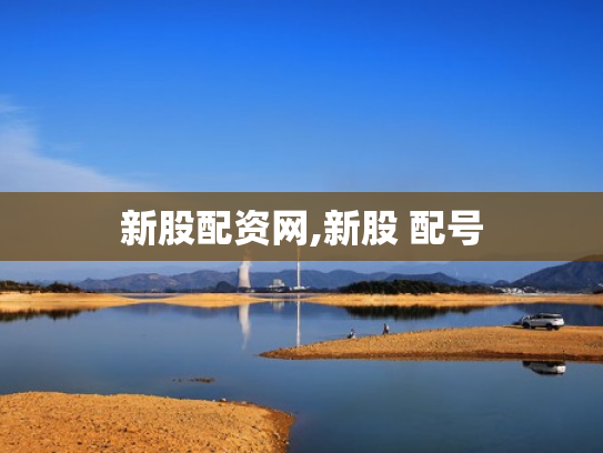 新股配资网,新股 配号