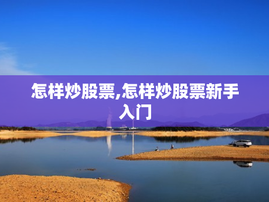 怎样炒股票,怎样炒股票新手入门