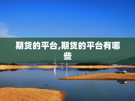 期货的平台,期货的平台有哪些