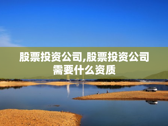 股票投资公司,股票投资公司需要什么资质