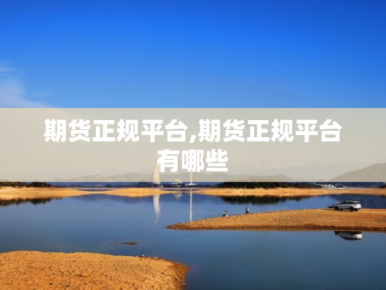 期货正规平台,期货正规平台有哪些